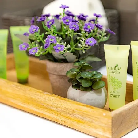 Pastel Appartement Braşov