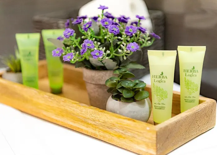 Pastel Apartment Brasov